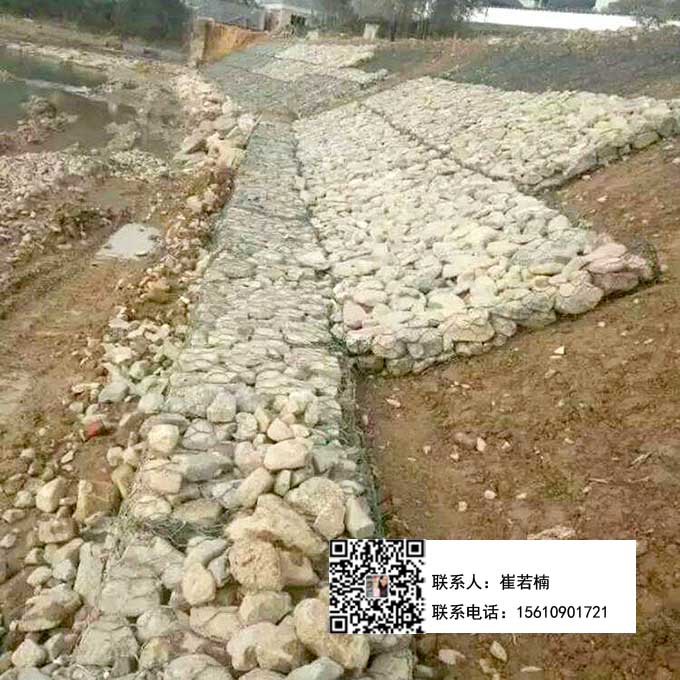 雷諾護墊 雷諾護墊